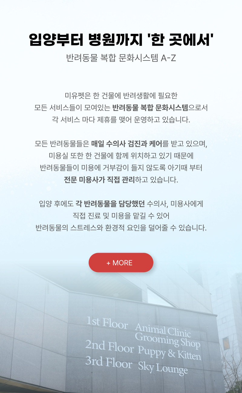 토이푸들_상세이미지_6