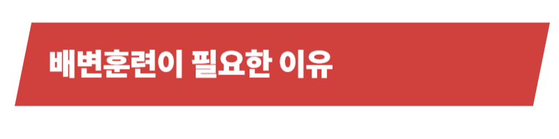 반려묘 배변훈련의 모든 것, 필요성과 중요성 그리고 방법에 대하여_상세이미지_2