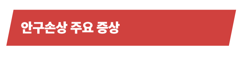 반려동물 안구손상 원인과 증상 그리고 치료방법에 대하여_상세이미지_3