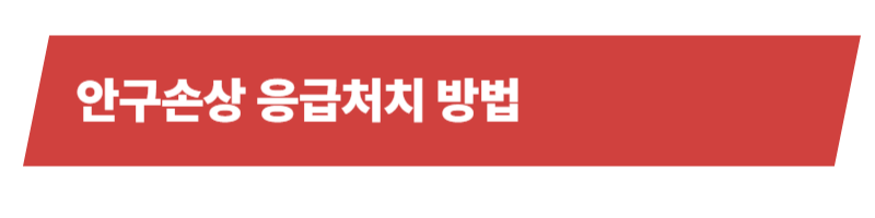 반려동물 안구손상 원인과 증상 그리고 치료방법에 대하여_상세이미지_4