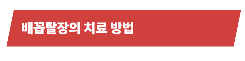 강아지 배꼽탈장의 원인과 증상, 치료방법, 관리법의 모든 것_상세이미지_4