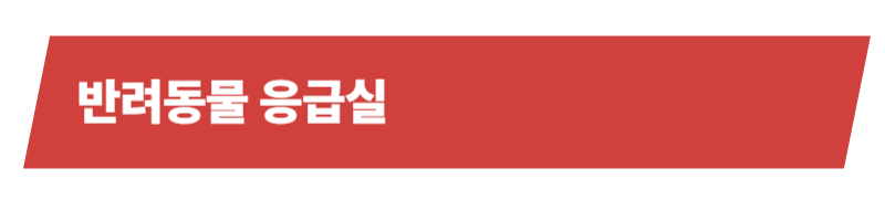 반려동물 응급실과 응급상황의 종류, 대처법에 대한 모든 것_상세이미지_2