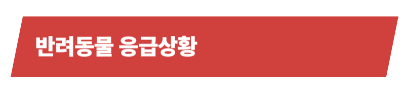 반려동물 응급실과 응급상황의 종류, 대처법에 대한 모든 것_상세이미지_3