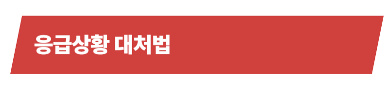 반려동물 응급실과 응급상황의 종류, 대처법에 대한 모든 것_상세이미지_4