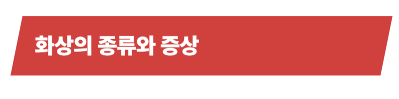 반려동물 화상 응급상황의 대처법과 주의사항_상세이미지_2
