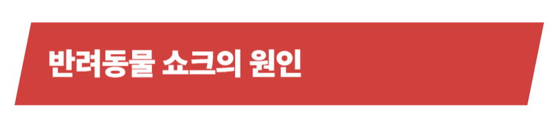 반려동물 쇼크의 원인과 증상 그리고 대처방법들에 대하여_상세이미지_2