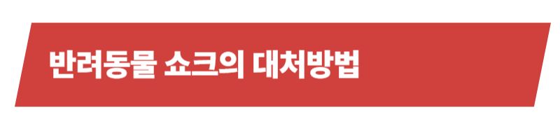 반려동물 쇼크의 원인과 증상 그리고 대처방법들에 대하여_상세이미지_4