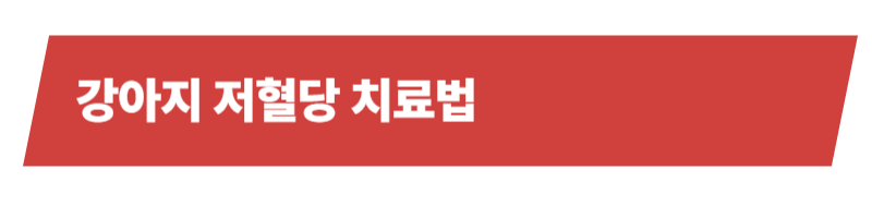 강아지 저혈당의 원인과 증상, 치료법에 예방법까지 총정리_상세이미지_4