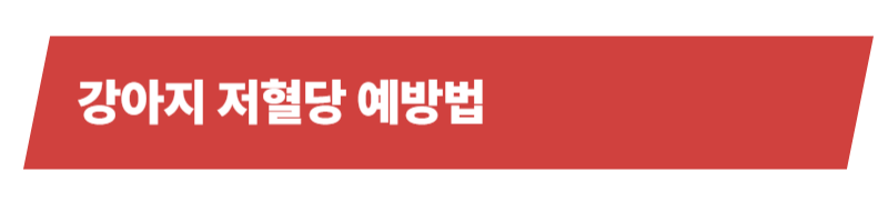 강아지 저혈당의 원인과 증상, 치료법에 예방법까지 총정리_상세이미지_5