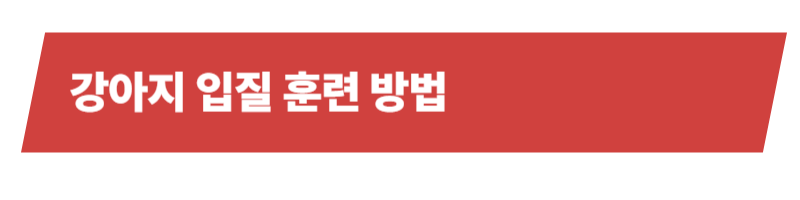 강아지 입질하는 원인과 개선을 위한 훈련 방법 등의 이해_상세이미지_3