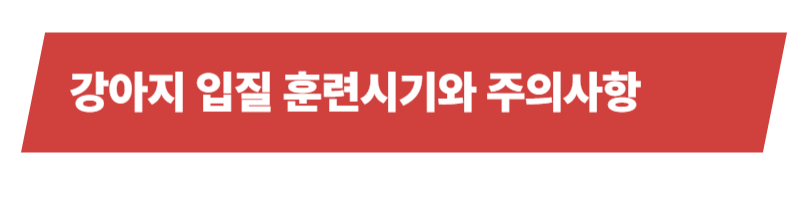 강아지 입질하는 원인과 개선을 위한 훈련 방법 등의 이해_상세이미지_4