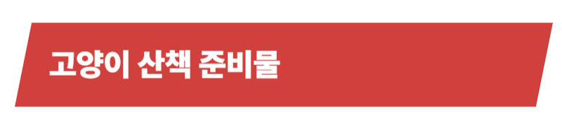 고양이 산책의 장점과 주의사항 그리고 산책 후 관리까지 알아가기_상세이미지_3