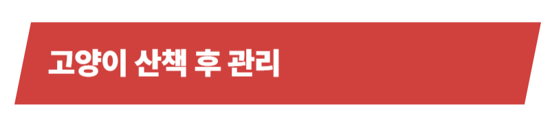 고양이 산책의 장점과 주의사항 그리고 산책 후 관리까지 알아가기_상세이미지_6