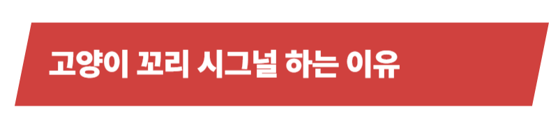 고양이 꼬리시그널을 하는 이유와 꼬리 모양별 의미에 대해 자세히 알아보자_상세이미지_2