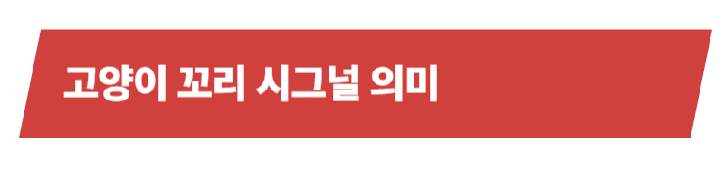 고양이 꼬리시그널을 하는 이유와 꼬리 모양별 의미에 대해 자세히 알아보자_상세이미지_3