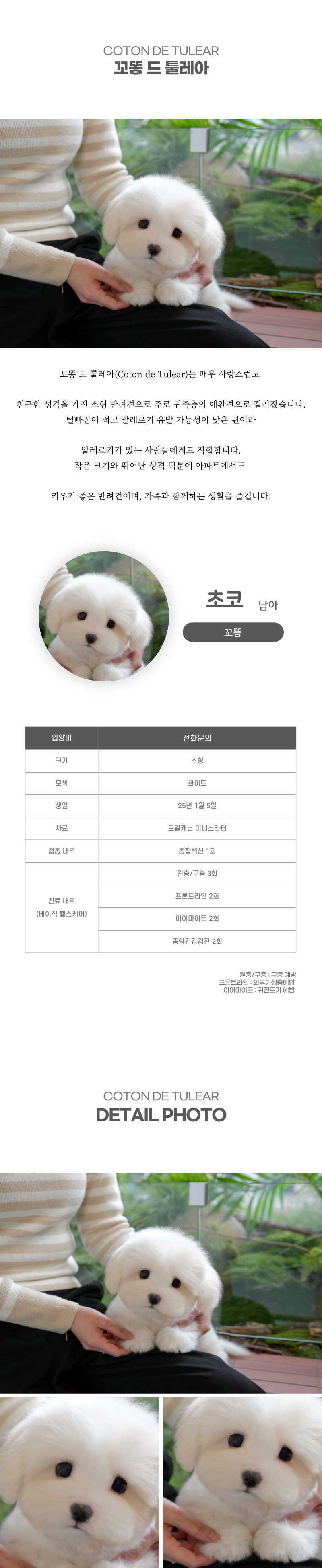 초코_상세이미지_10