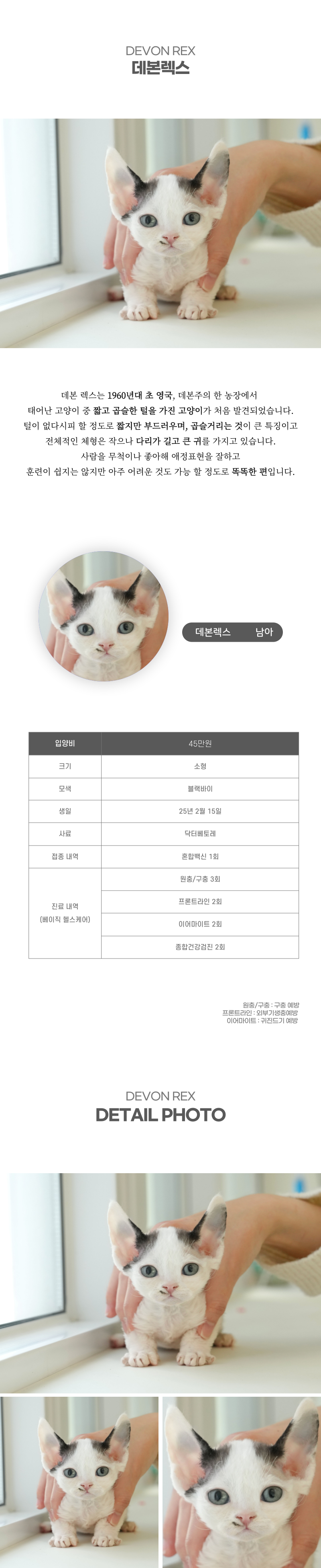 데본렉스_상세이미지_2