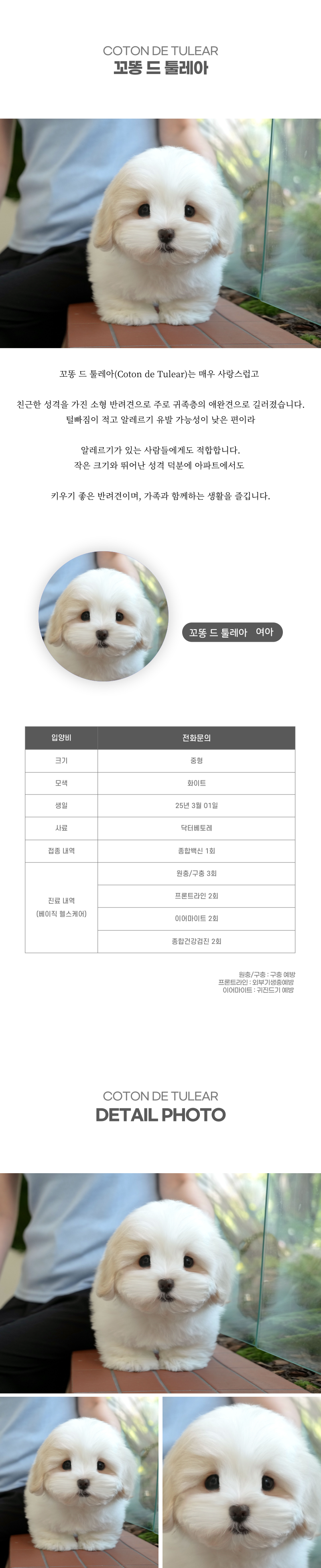 꼬똥_상세이미지_2
