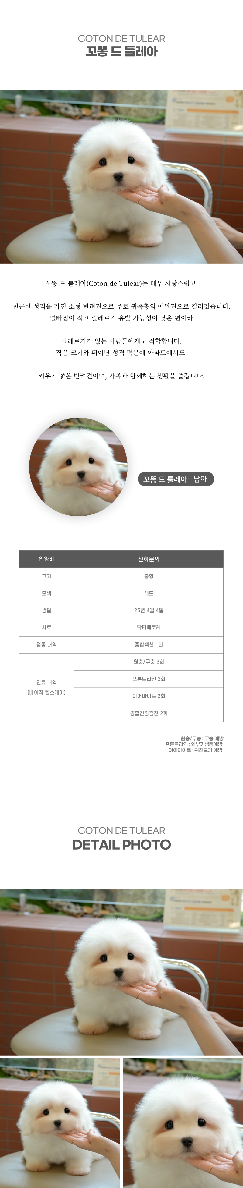 꼬똥_상세이미지_2