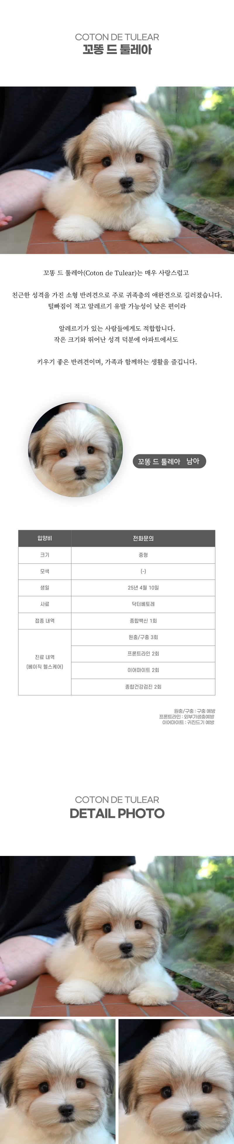꼬똥_상세이미지_2