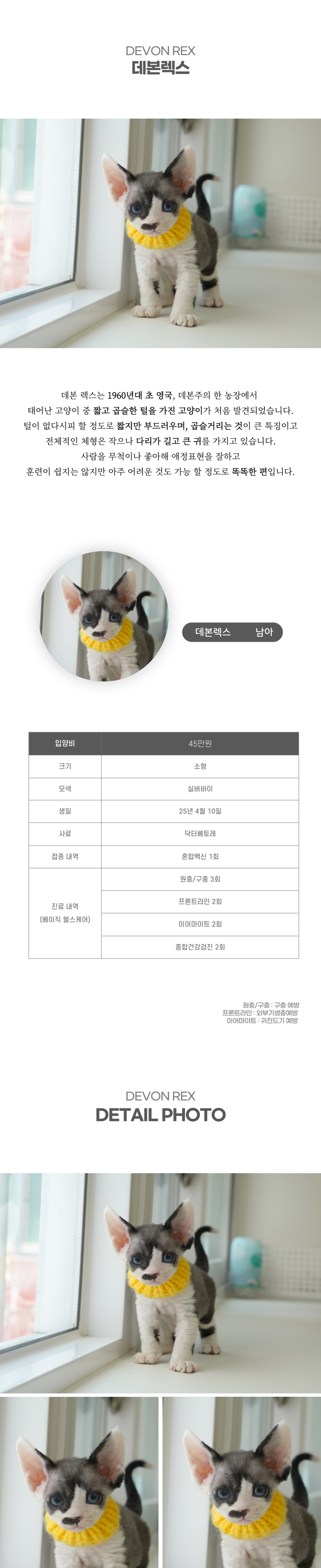 데본렉스_상세이미지_2