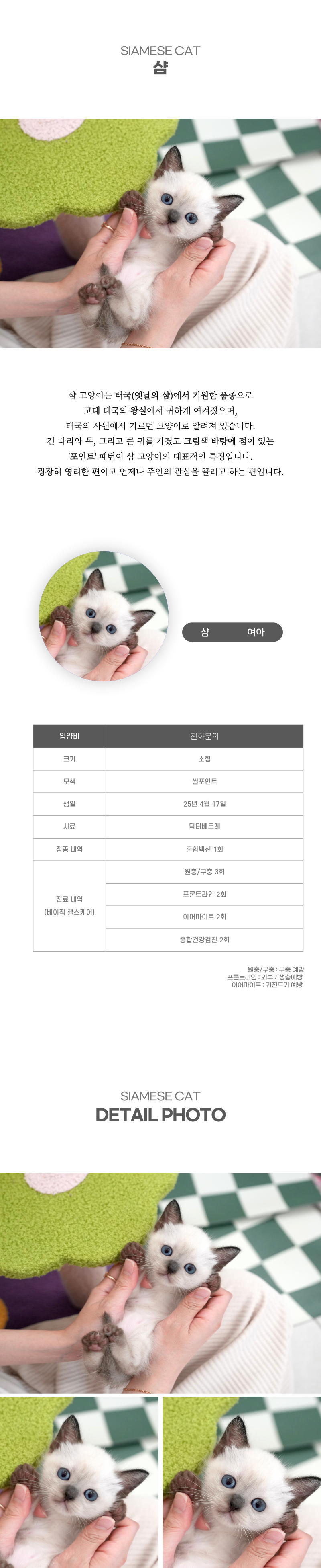샴_상세이미지_2
