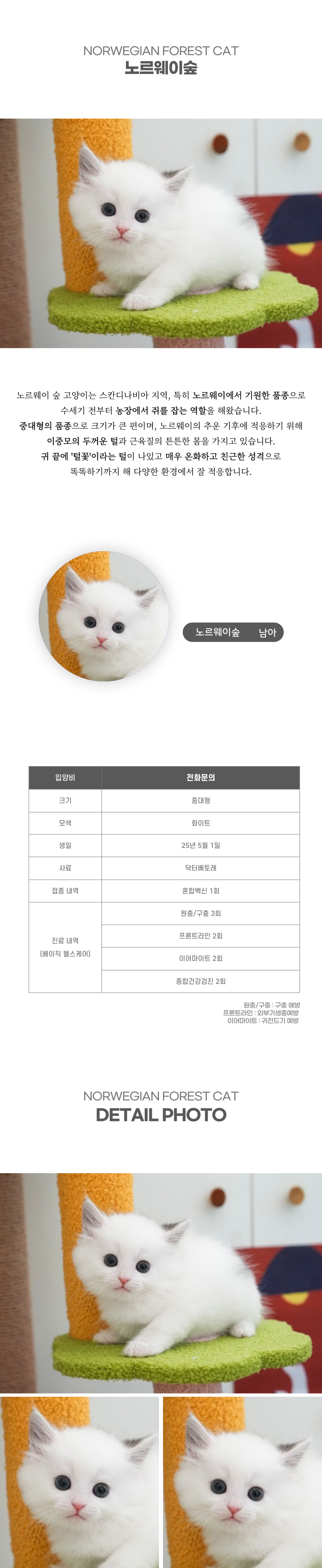 노르웨이숲_상세이미지_2