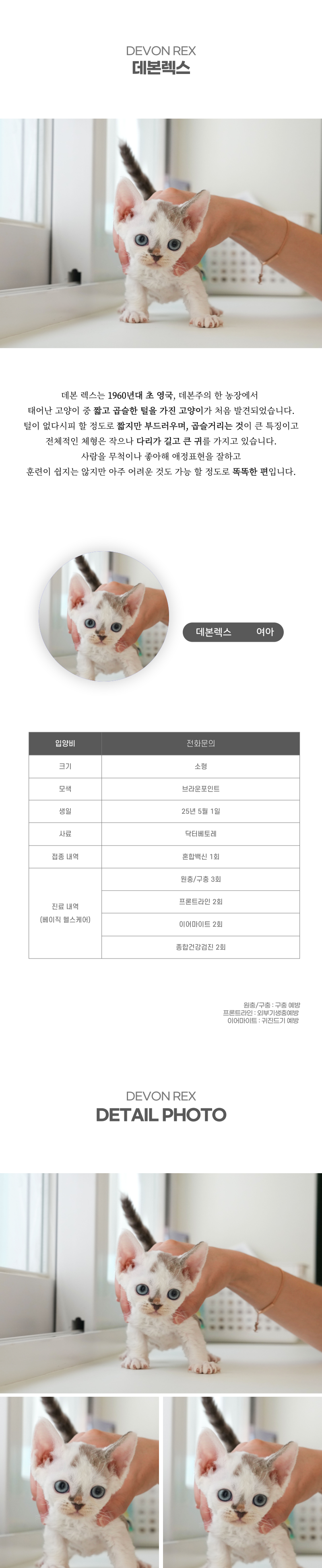 데본렉스_상세이미지_2