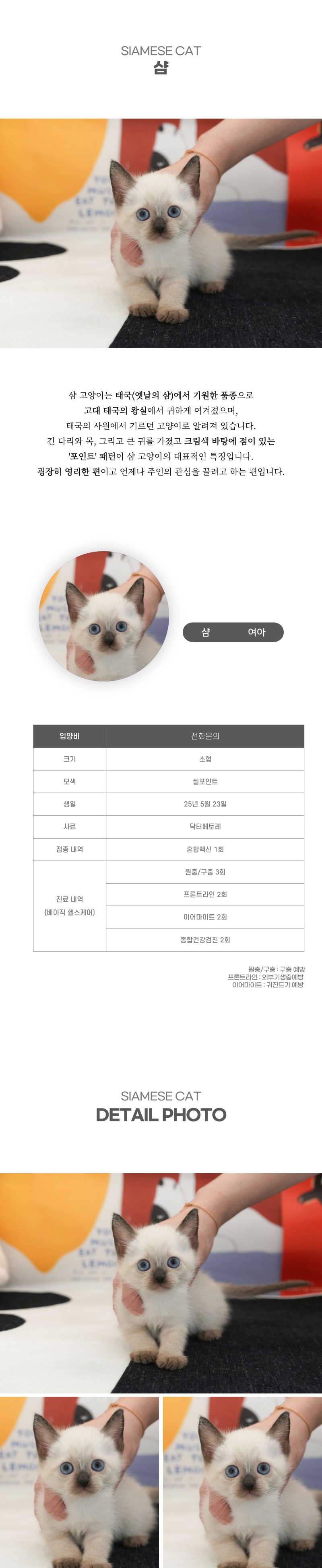 샴_상세이미지_2