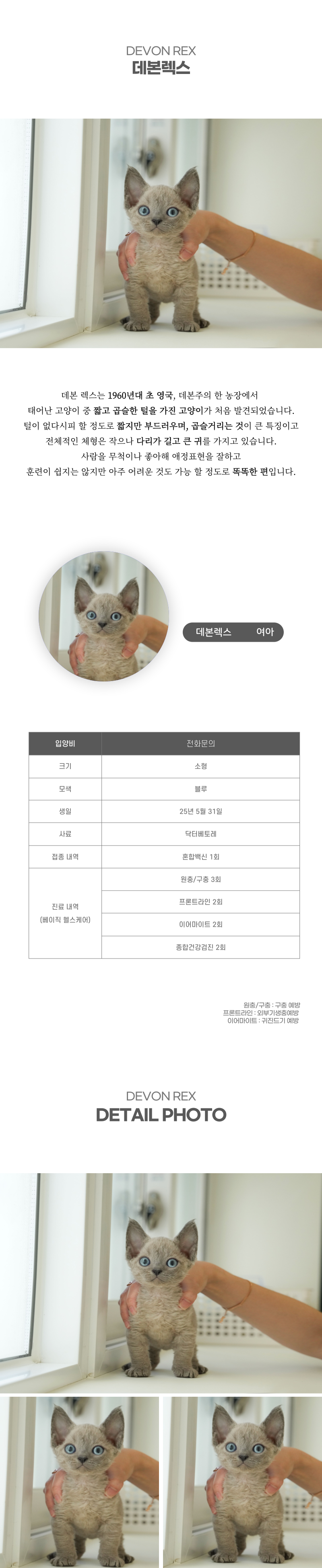 데본렉스_상세이미지_2