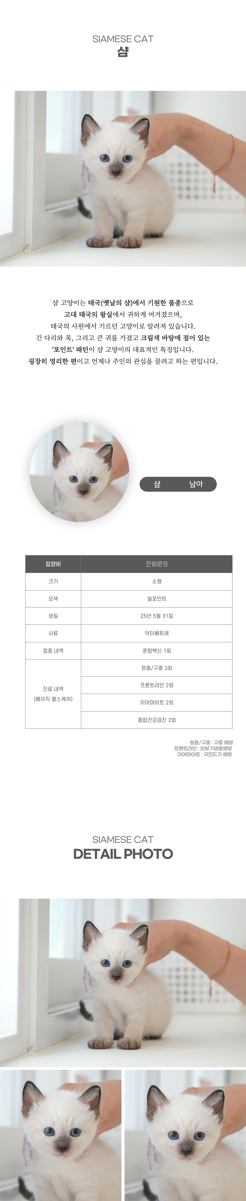 샴_상세이미지_2