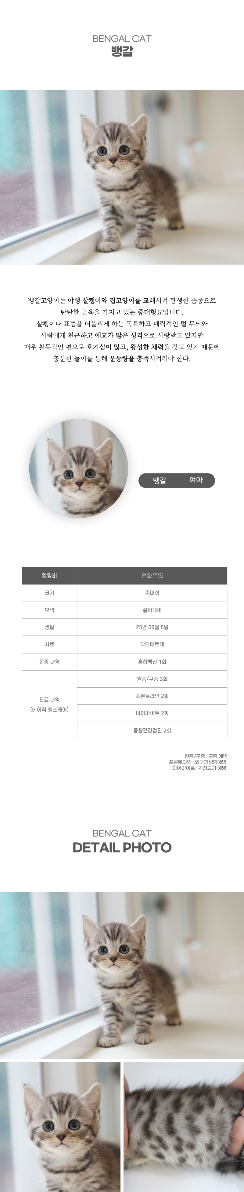 뱅갈_상세이미지_2