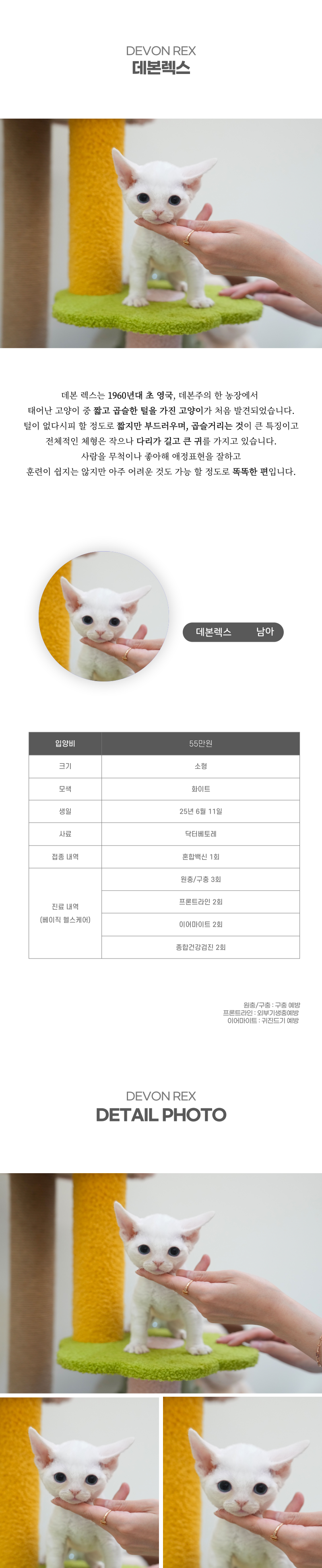 데본렉스_상세이미지_2