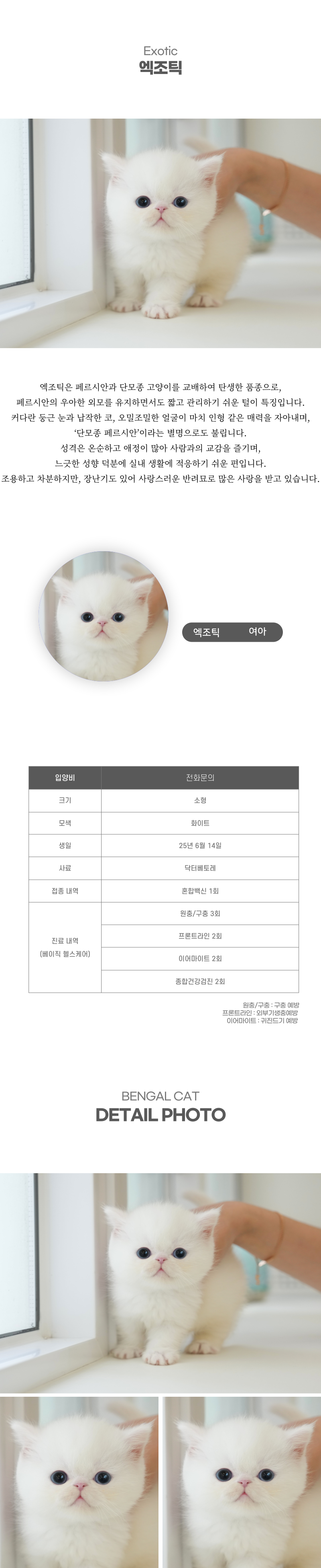 엑죠틱_상세이미지_2