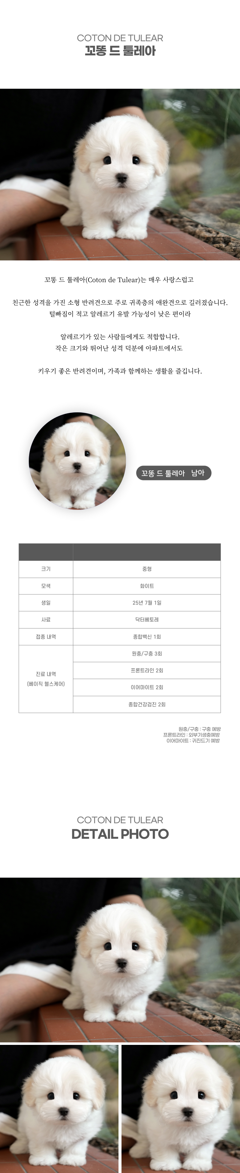 꼬똥_상세이미지_2