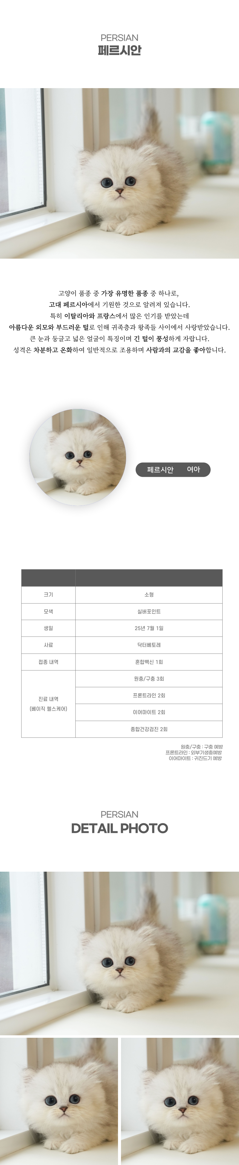 페르시안_상세이미지_2