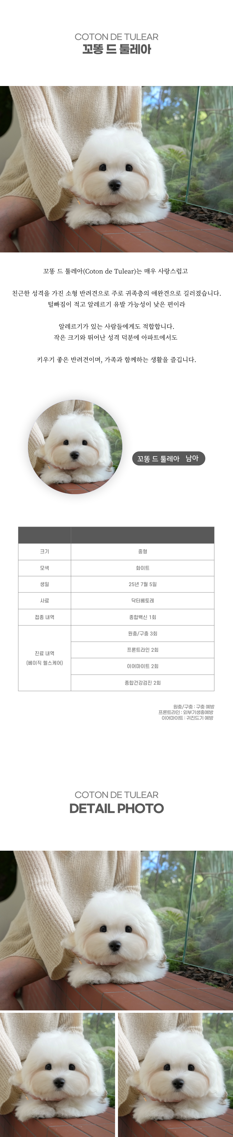 꼬똥_상세이미지_2