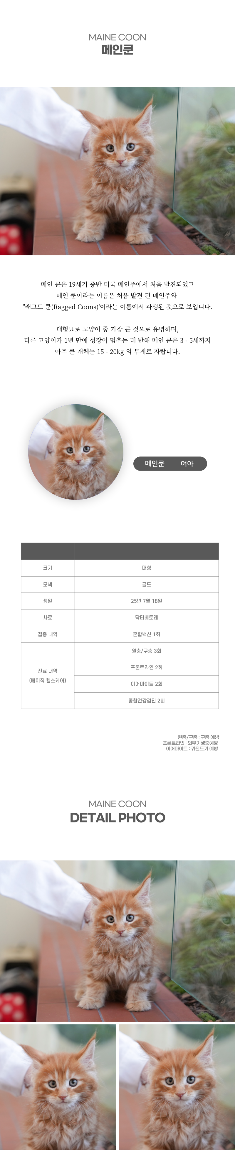 메인쿤_상세이미지_2