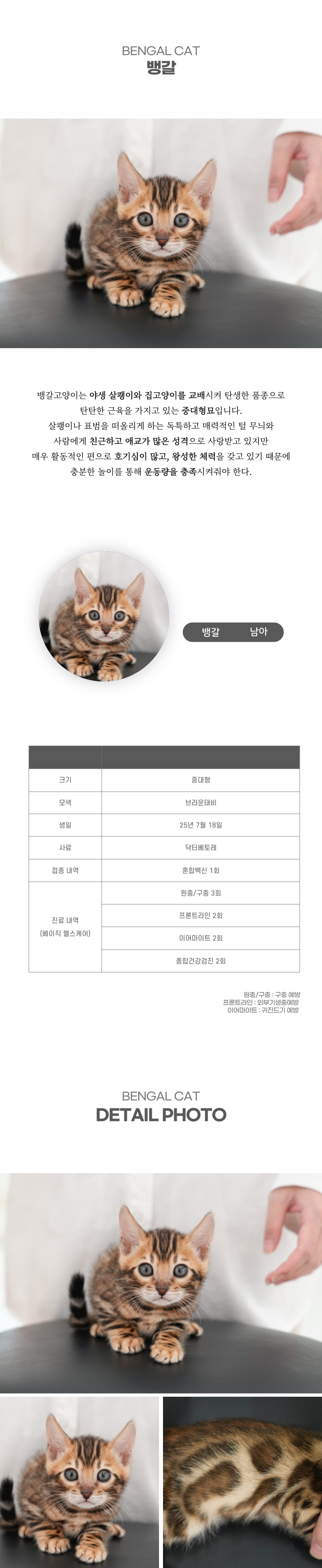 뱅갈_상세이미지_2
