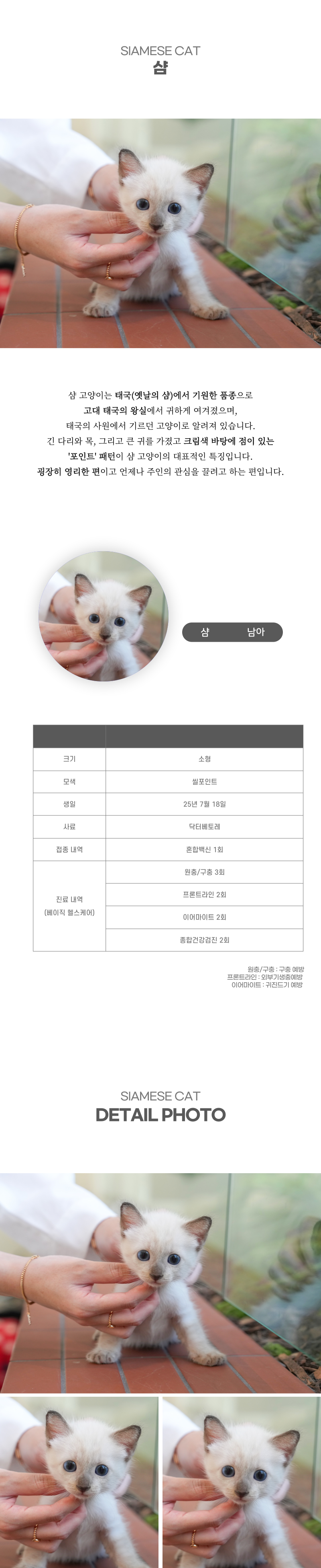 샴_상세이미지_2