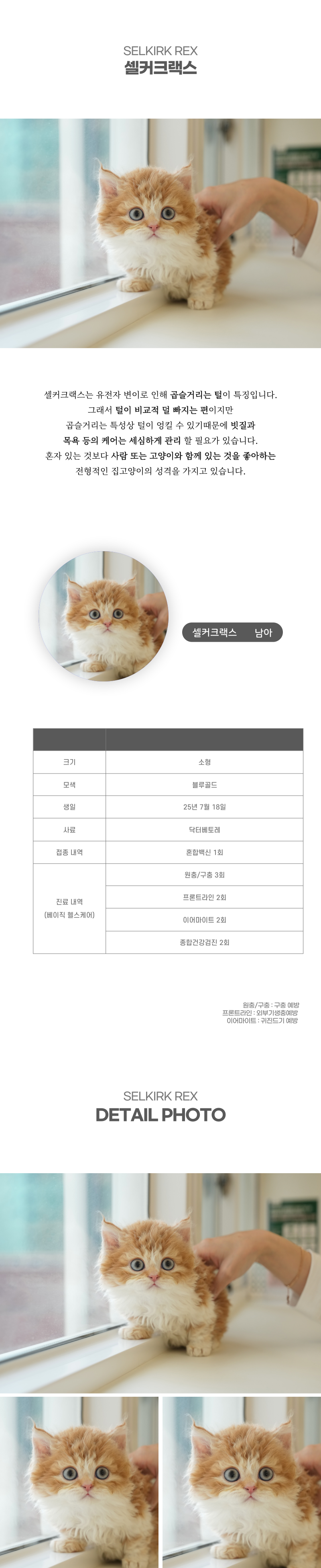 셀커크랙스_상세이미지_2