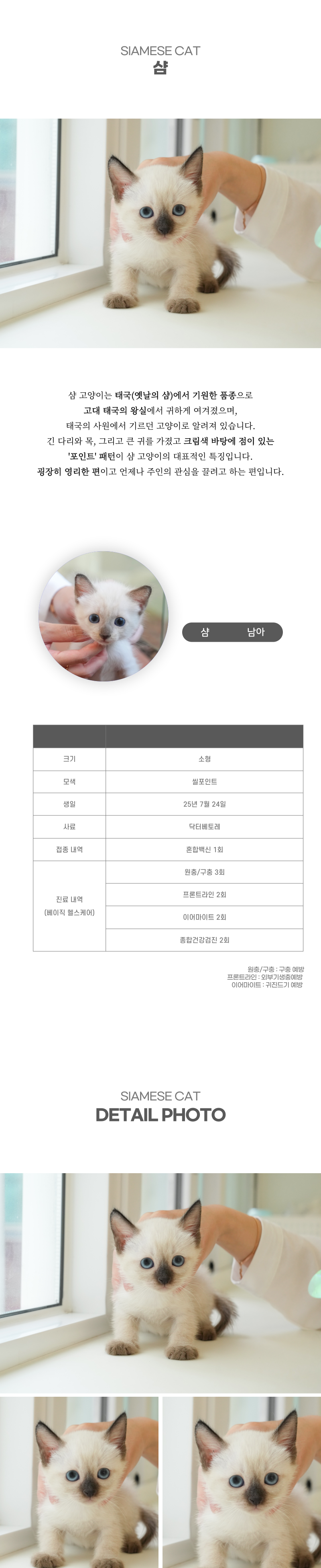 샴_상세이미지_2