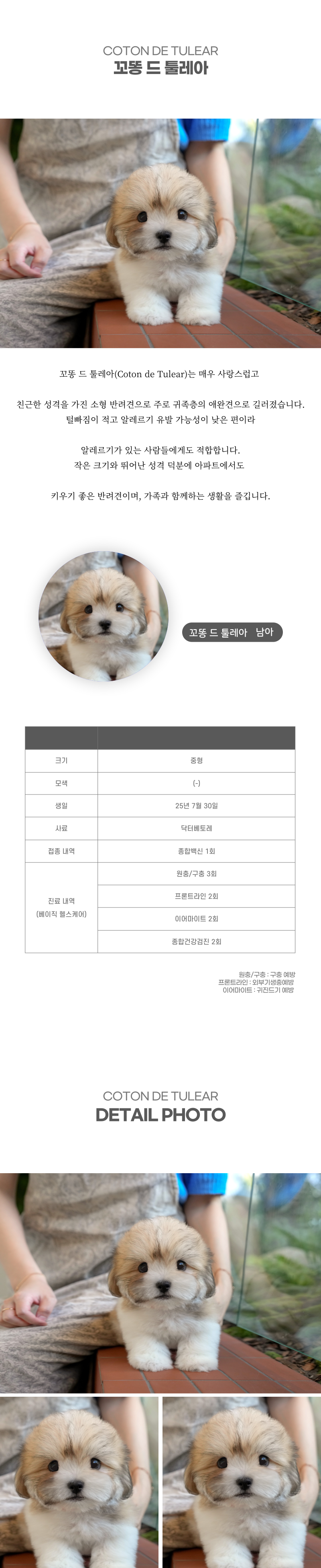 꼬똥_상세이미지_2