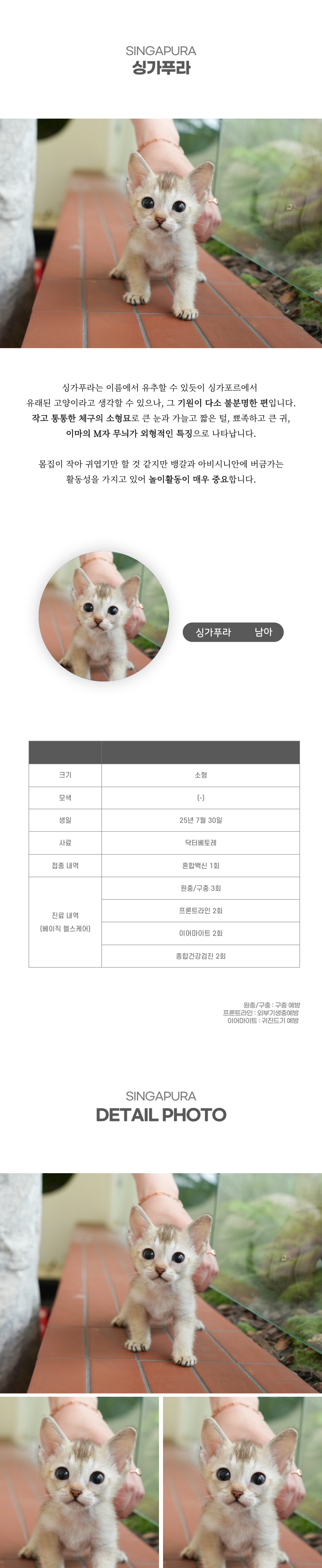 싱가푸라_상세이미지_2