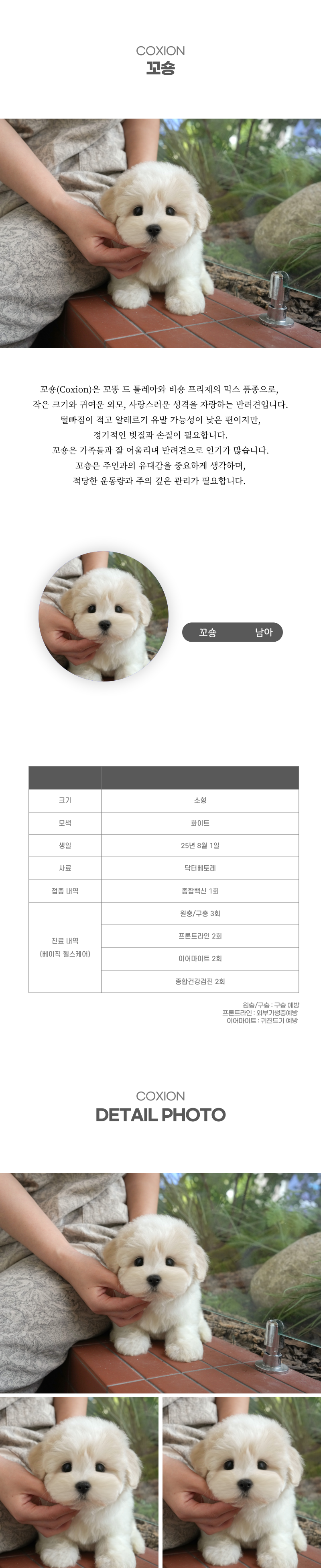 꼬똥_상세이미지_2