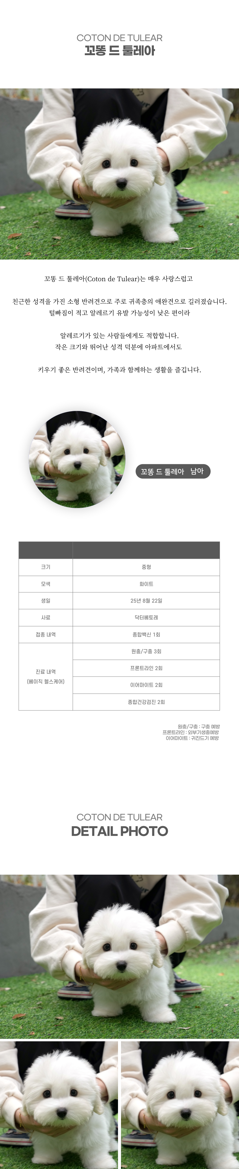 꼬똥_상세이미지_2