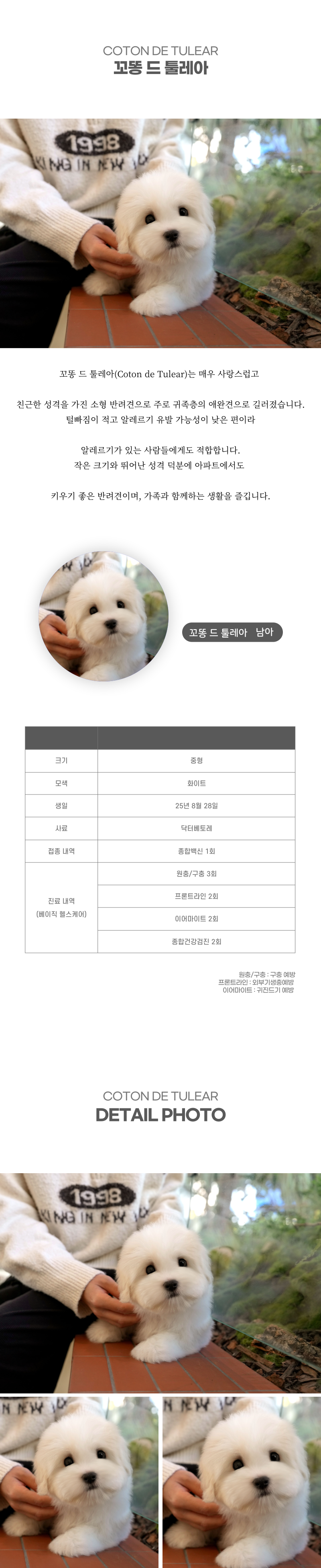 꼬똥_상세이미지_2