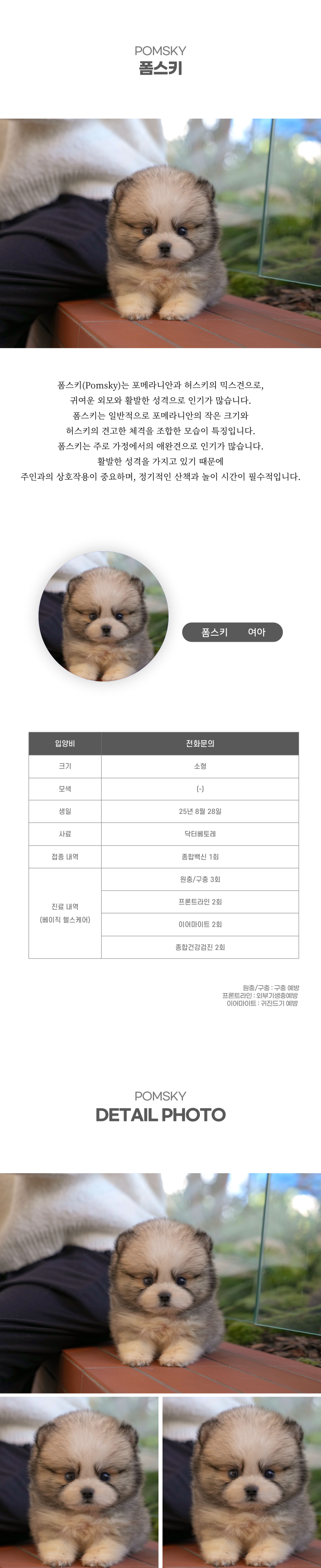 폼스키_상세이미지_2
