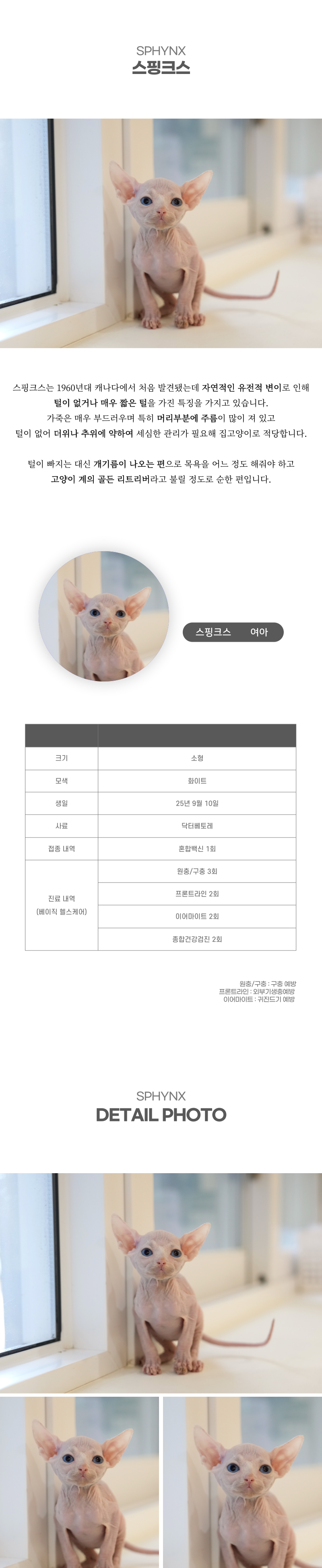 스핑크스_상세이미지_2