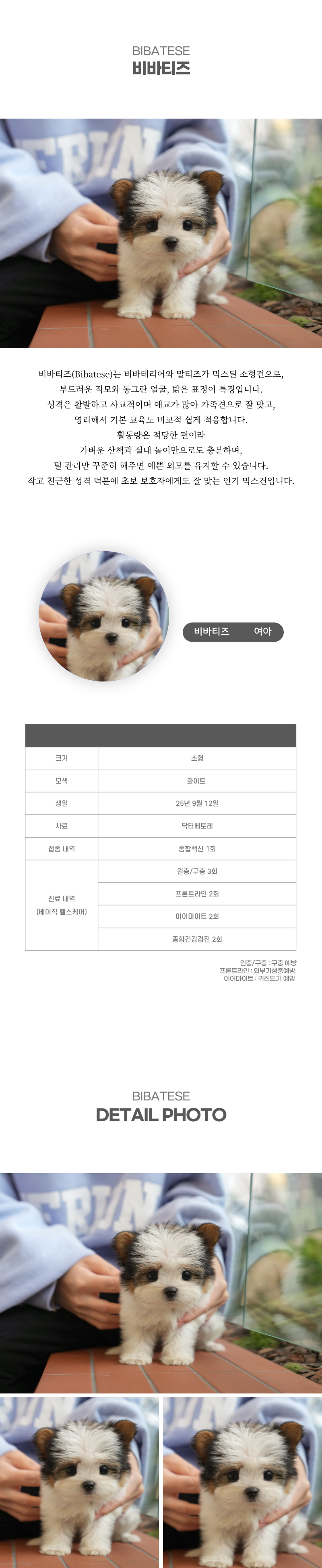 비바티즈_상세이미지_2